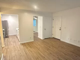 Photo #3: 226041345 Listing 