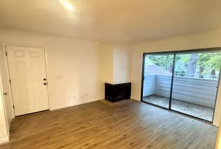 Photo #6: 226041345 Listing 