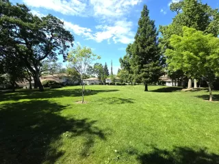 Photo #1: 226041392 Listing 