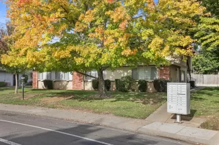 Photo #1: 226041455 Listing 