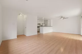 Photo #6: 226041455 Listing 