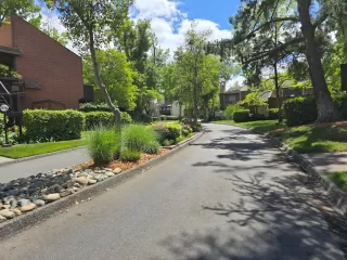 Photo #1: 226041530 Listing 