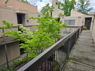 Photo #3: 226041530 Listing 