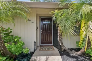 Photo #4: 226041571 Listing