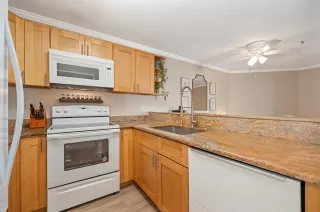 Photo #3: 226041604 Listing 