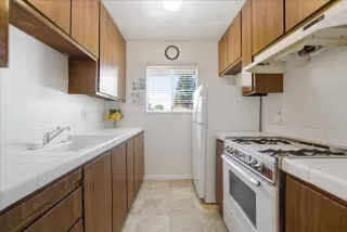 Photo #1: 226041678 Listing 