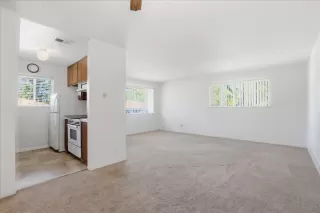 Photo #2: 226041678 Listing 