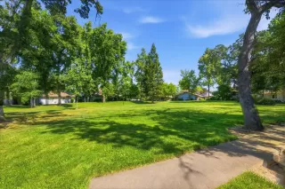 Photo #4: 226041678 Listing 