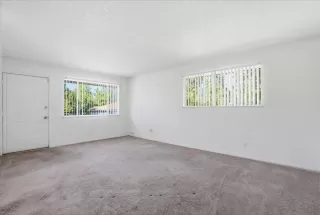 Photo #6: 226041678 Listing 