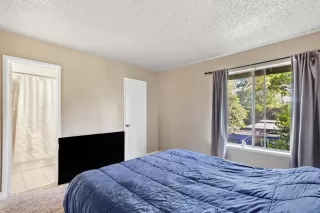 Photo #6: 226042052 Listing