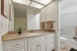 Photo #4: 226042579 Listing 