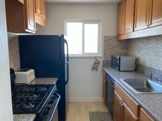 Photo #3: 226043206 Listing 