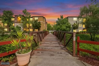 Photo #1: 226043899 Listing 