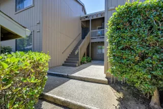 Photo #1: 226043939 Listing