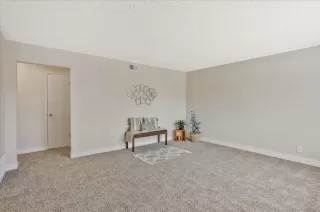 Photo #5: 226044133 Listing 