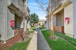 Photo #3: 226045329 Listing 