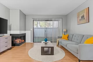 Photo #1: 226045635 Listing 