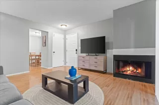 Photo #3: 226045635 Listing 