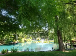 Photo #1: 226045796 Listing 