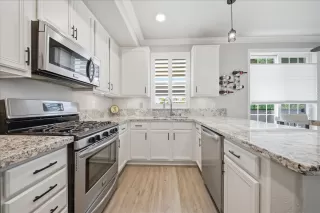 Photo #1: 226046258 Listing 