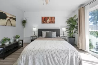 Photo #1: 226046780 Listing 