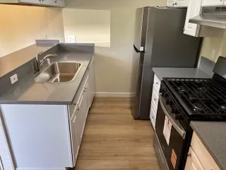 Photo #5: 226047434 Listing 