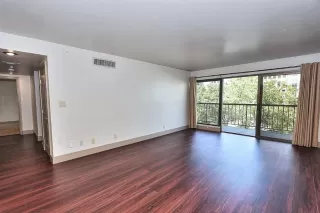 Photo #6: 226047758 Listing 