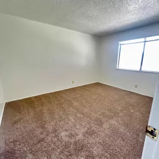 Photo #4: 226048126 Listing 