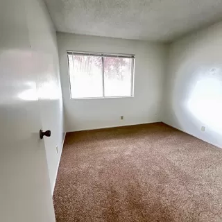 Photo #5: 226048126 Listing 