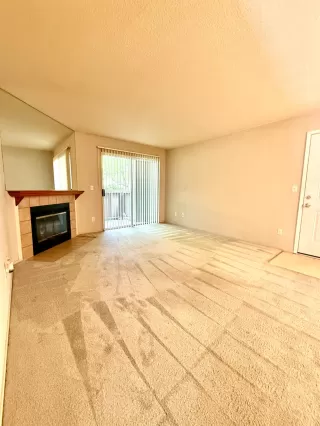 Photo #4: 226048531 Listing 