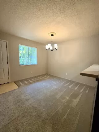 Photo #5: 226048531 Listing 