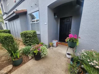 Photo #1: 226048643 Listing 