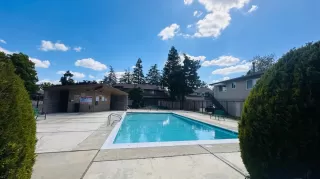 Photo #1: 226048676 Listing 