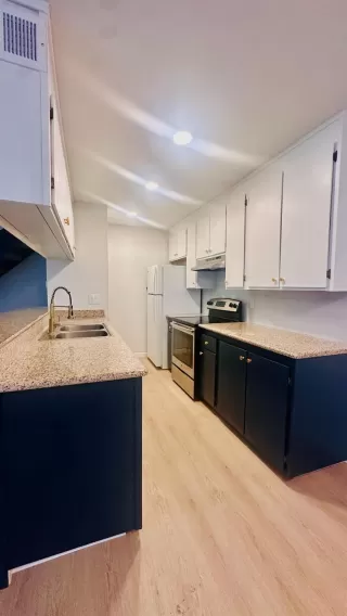 Photo #2: 226048676 Listing 