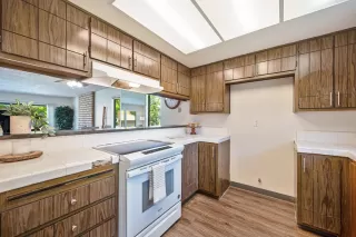 Photo #4: 226048742 Listing 