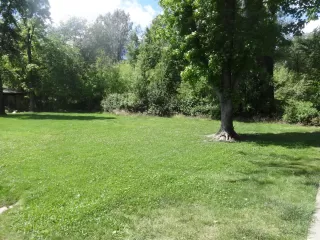 Photo #4: 226049052 Listing 