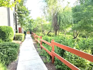 Photo #5: 226049229 Listing 