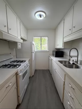 Photo #2: 226050240 Listing 