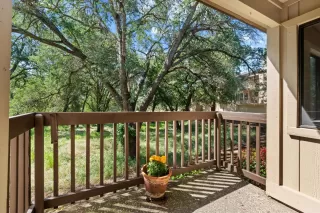 Photo #5: 226050404 Listing 