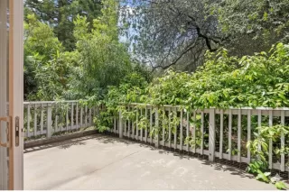 Photo #6: 226050433 Listing 