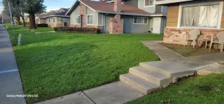 Photo #1: 226050442 Listing 