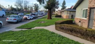 Photo #3: 226050442 Listing 