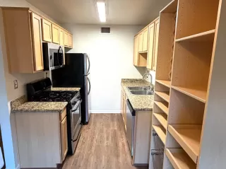 Photo #1: 226050730 Listing 