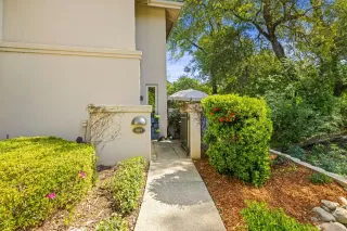 Photo #1: 226050895 Listing 