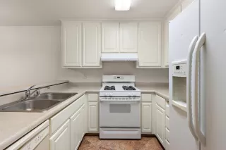 Photo #1: 226050948 Listing 