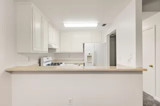 Photo #2: 226050948 Listing 