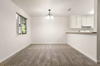 Photo #5: 226050948 Listing 