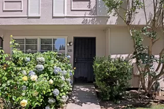 Photo #1: 226051776 Listing