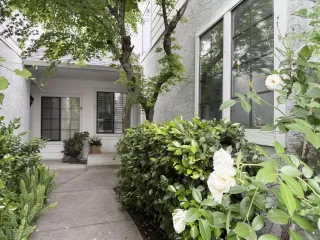 Photo #2: 226052167 Listing 