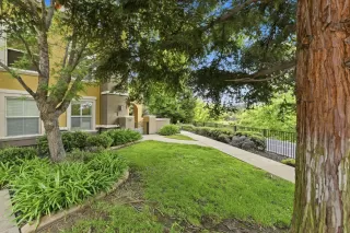 Photo #2: 226052487 Listing 